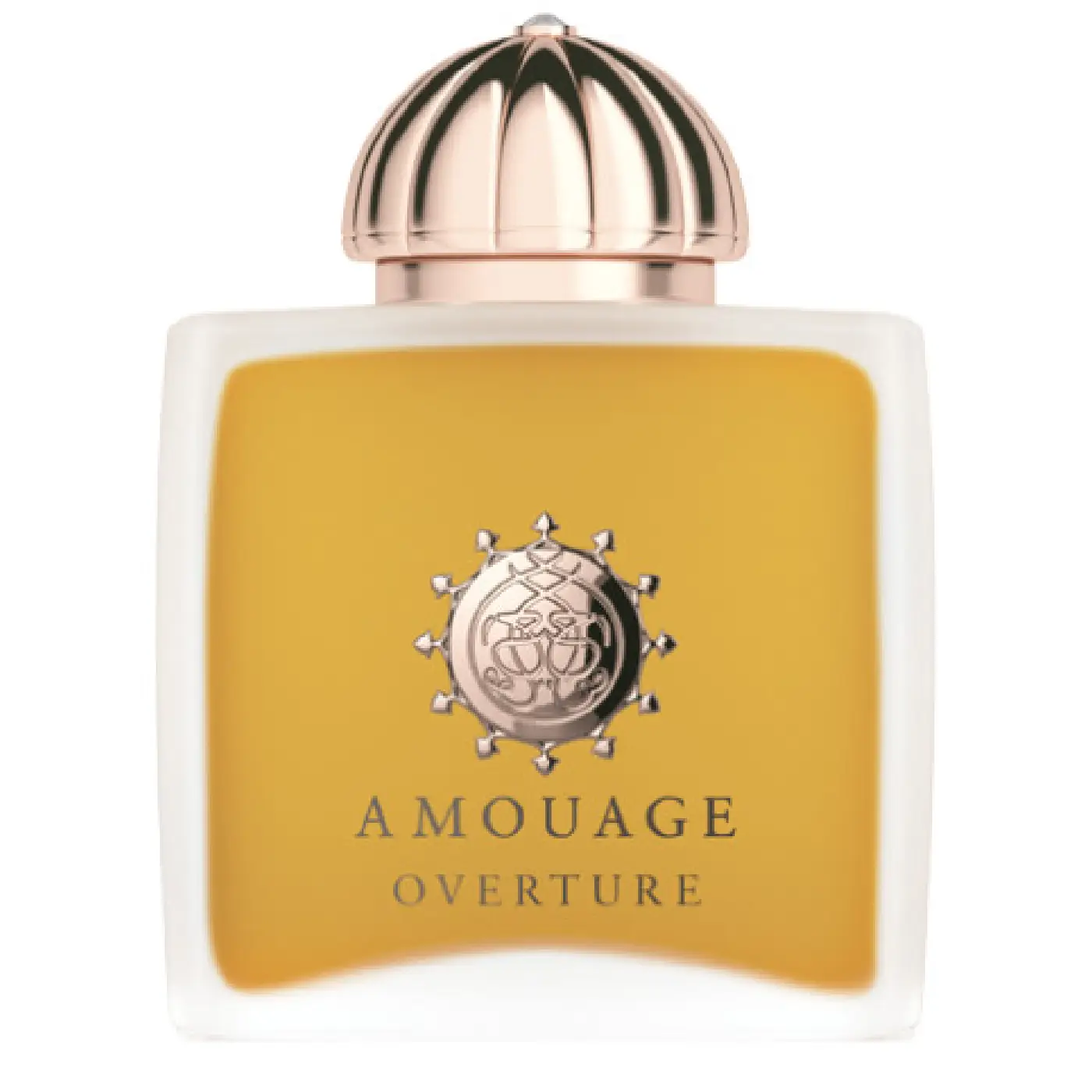 AMOUAGE-OVERTURE-W-EDP-100ml