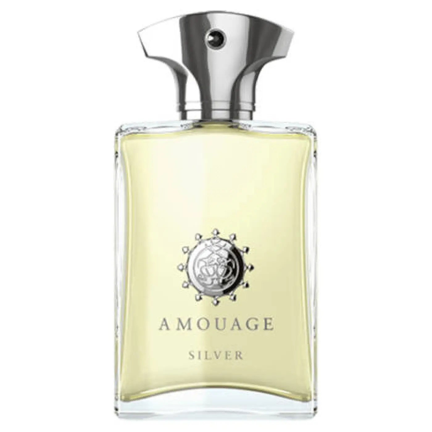AMOUAGE-SILVER-M-EDP-100ml.
